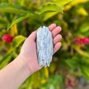 Kyanite Raw Crystal • 1